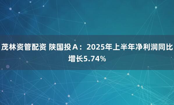 茂林资管配资 陕国投Ａ：2025年上半年净利润同比增长5.74%